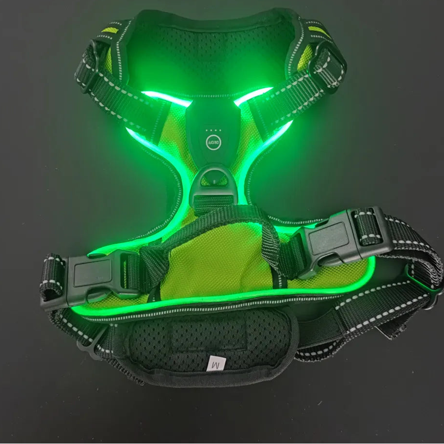 Adjustable LED Glow Vest for Nighttime Dog Walking