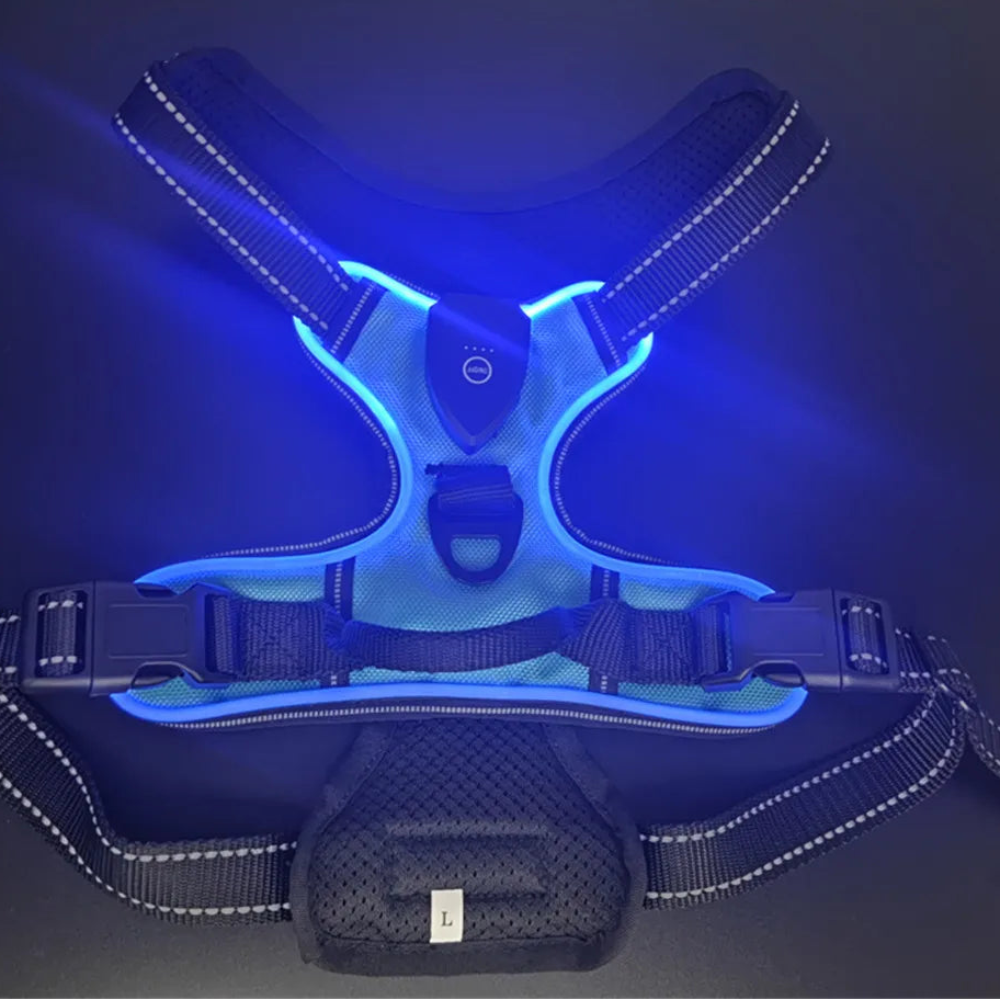 Adjustable LED Glow Vest for Nighttime Dog Walking
