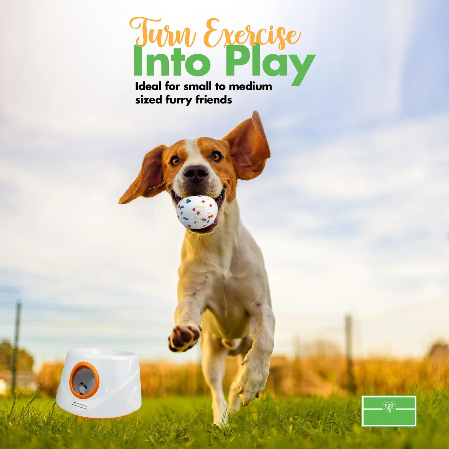 Automatic Dog Ball Launcher Machine