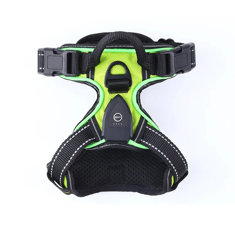 Adjustable LED Glow Vest for Nighttime Dog Walking