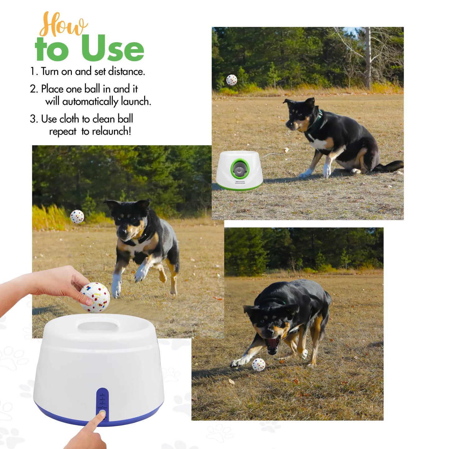 Automatic Dog Ball Launcher Machine