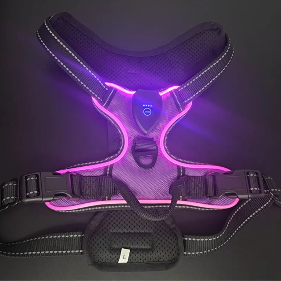 Adjustable LED Glow Vest for Nighttime Dog Walking