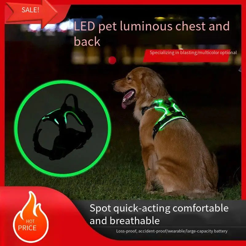 Adjustable LED Glow Vest for Nighttime Dog Walking