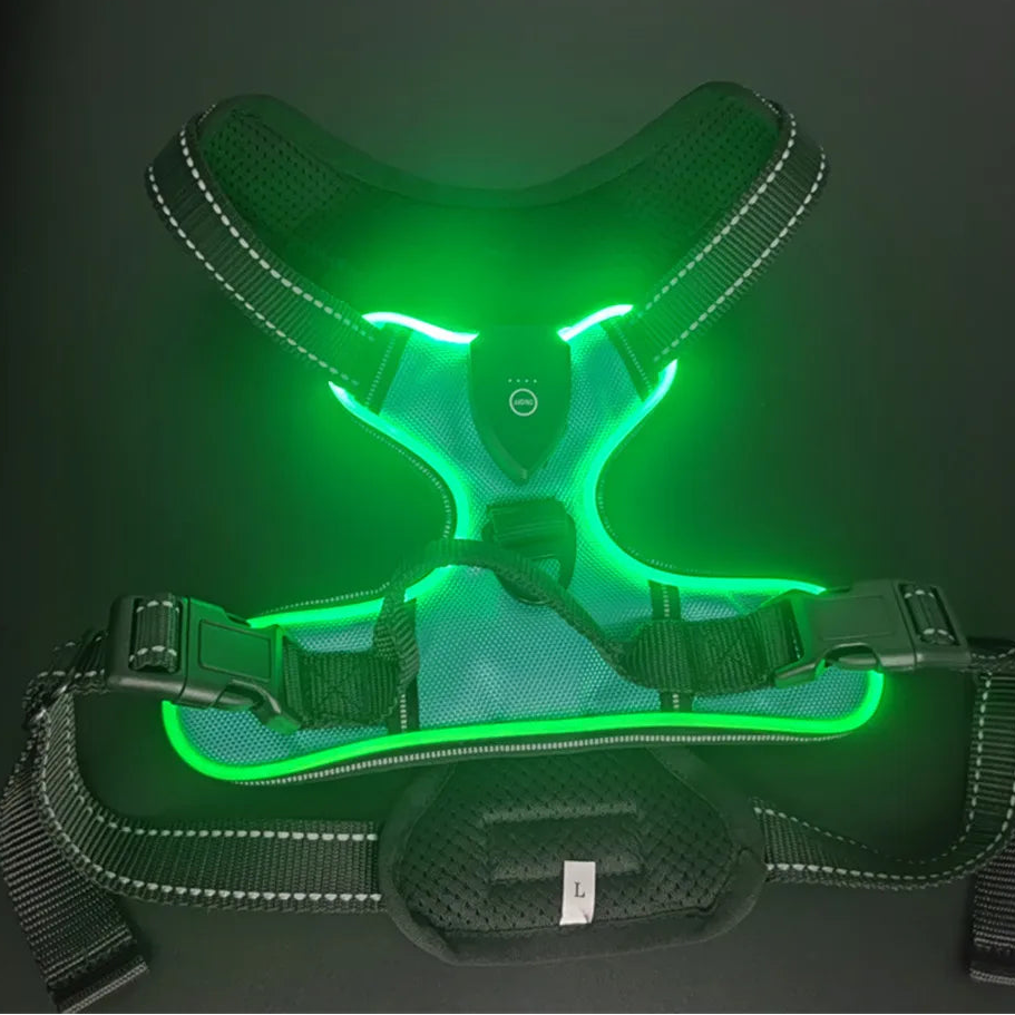 Adjustable LED Glow Vest for Nighttime Dog Walking