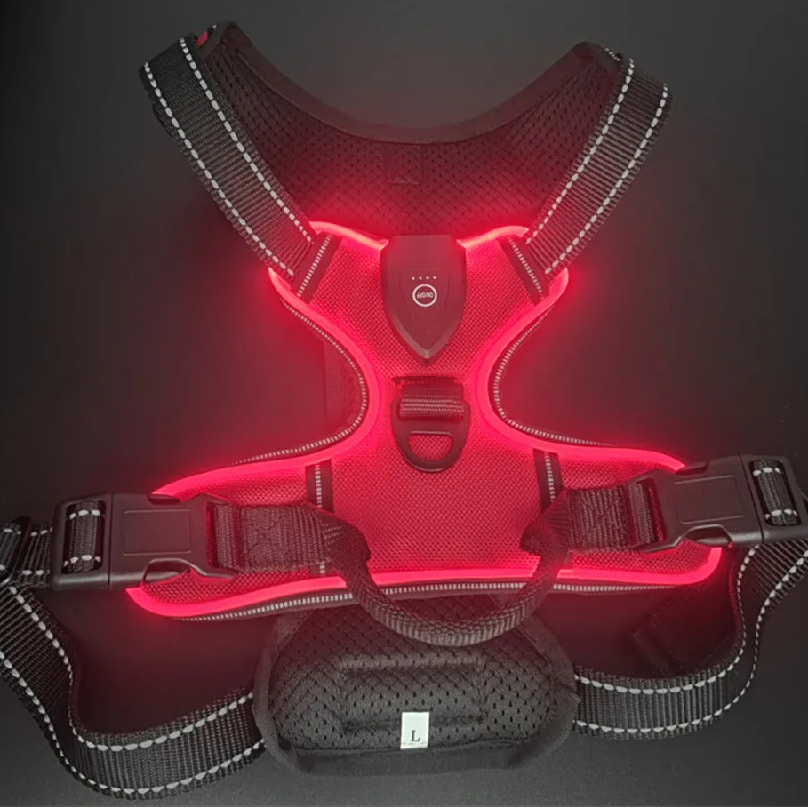 Adjustable LED Glow Vest for Nighttime Dog Walking