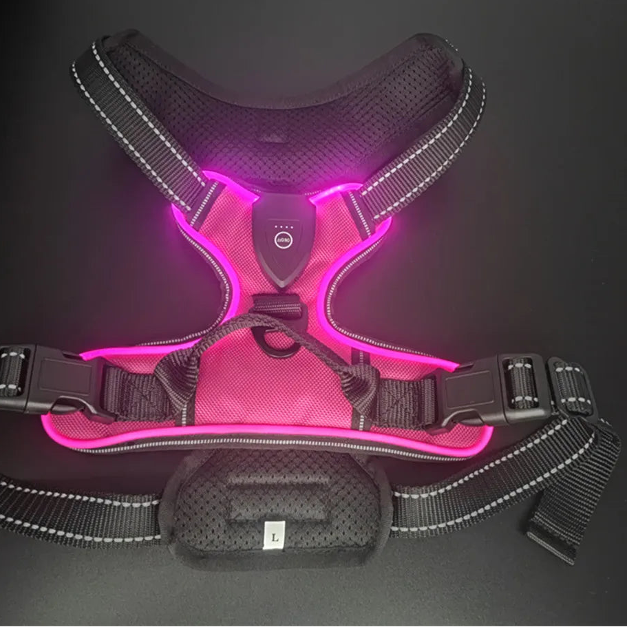 Adjustable LED Glow Vest for Nighttime Dog Walking