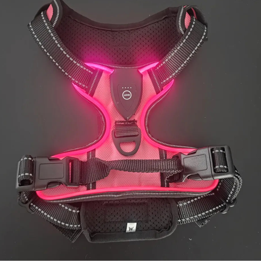 Adjustable LED Glow Vest for Nighttime Dog Walking