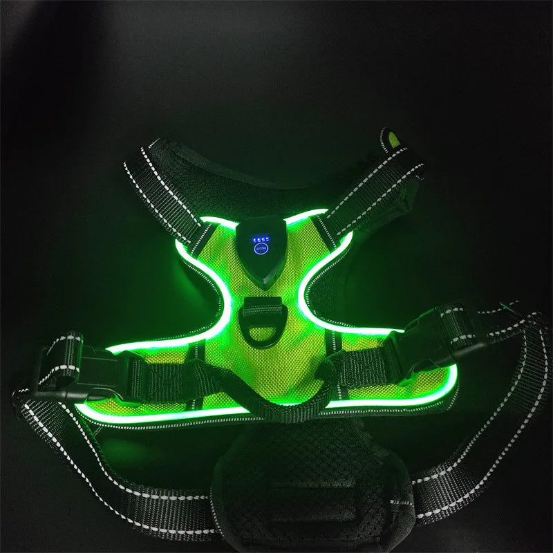 Adjustable LED Glow Vest for Nighttime Dog Walking